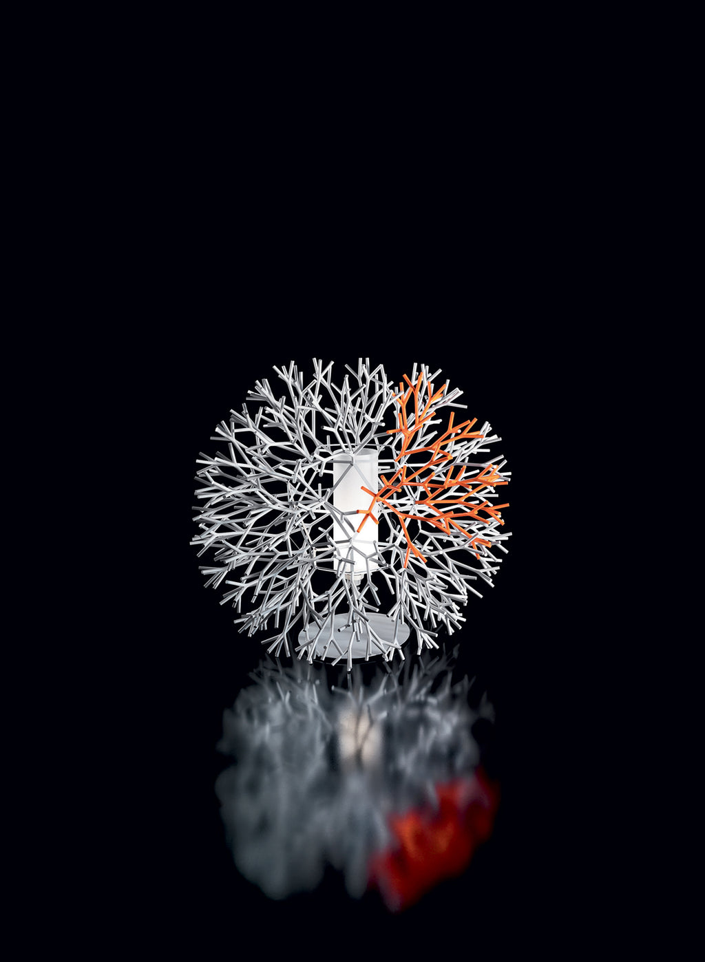 CORAL