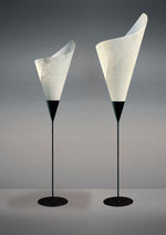 CALLA